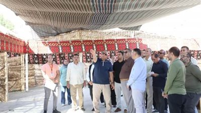 الوادي الجديد تستعد لمهرجان التمور واللواء المحافظ يتابع جاهزية أرض المعارض