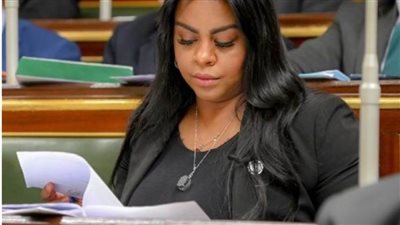 إفريقية النواب تدعو المجتمع الدولي لتوفير الحماية للشعب الفلسطيني