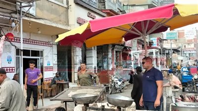 حملات لإزالة الإشغالات وتطهير بيارات الصرف بمراكز كفر الشيخ