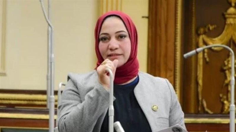 صفاء جابر عضو مجلس