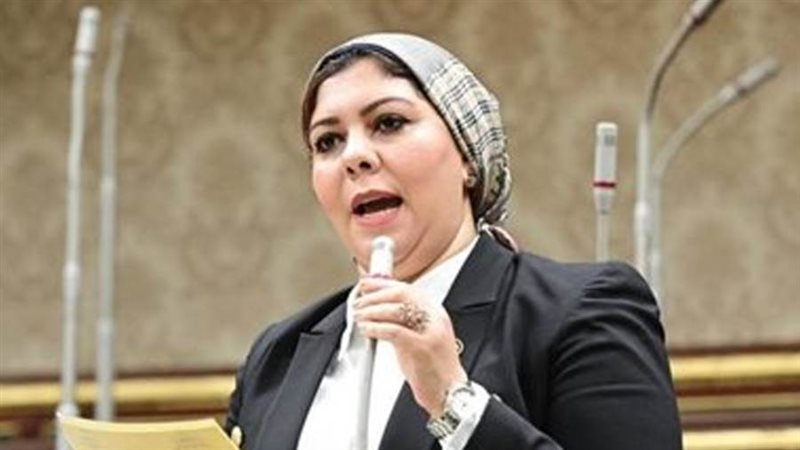 النائبة شيماء محمود