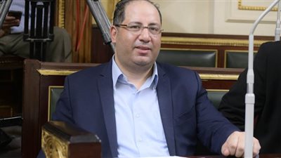 برلماني: توجيهات السيسي بإرسال مساعدات غذائية وطبية لغزة تأكيدا على دور مصر التاريخي