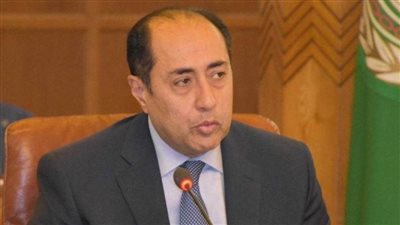    السفير حسام زكي: الجامعة العربية تعمل لوقف الحرب على غزة 