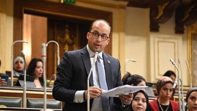 نائب التنسيقية: دعوات قوات الاحتلال الإسرائيلي لسكان غزة بالمغادرة انتهاك صارخ للقانون الدولي