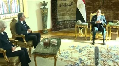 السيسي: مصر تبذل جهودًا لاحتواء الموقف في غزة وعدم دخول أطراف أخرى للصراع