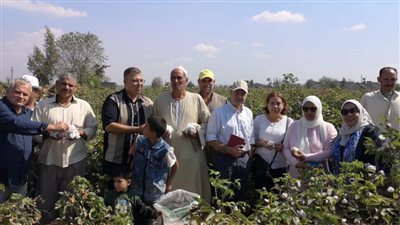 إنتاج السماد العضوي من قش الأرز بمحافظة البحيرة