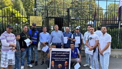 أمين أمانة المصريين بالخارج بحزب حماة وطن: إطلاق مبادرة 