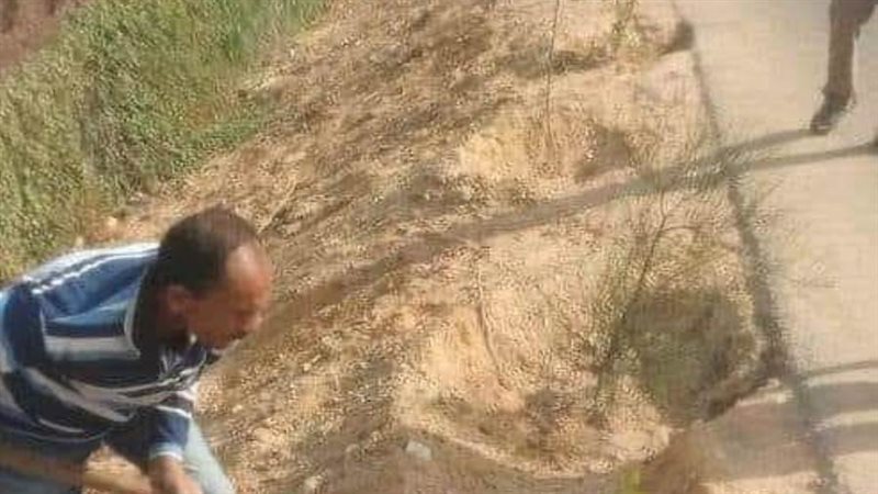 زراعة أشجار مثمرة