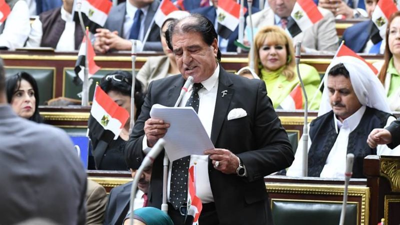 النائب أحمد فؤاد