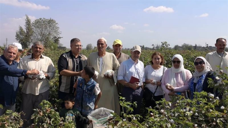 إنتاج السماد العضوى