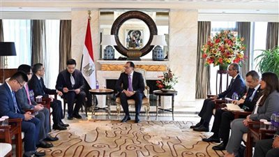 عاجل| رئيس الوزراء يلتقي رئيس مجلس إدارة شركة 