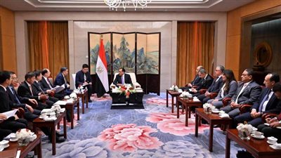 رئيس الوزراء يلتقي رئيس شركة 