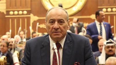 برلماني: قرارات مجلس الأمن القومي تأكيد على ثوابت الدولة المصرية تجاه فلسطين