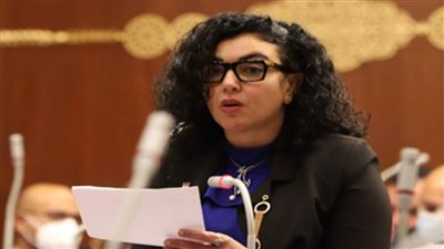 برلمانية: المؤتمر الإقليمي والدولي الذي دعت له مصر يضع القضية الفلسطينية على جدول اهتمامات العالم