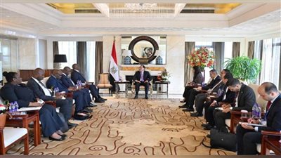 مدبولي يؤكد لرئيس