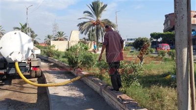 تهذيب الأشجار ومتابعة المواقف وتطهير خطوط الصرف الصحي