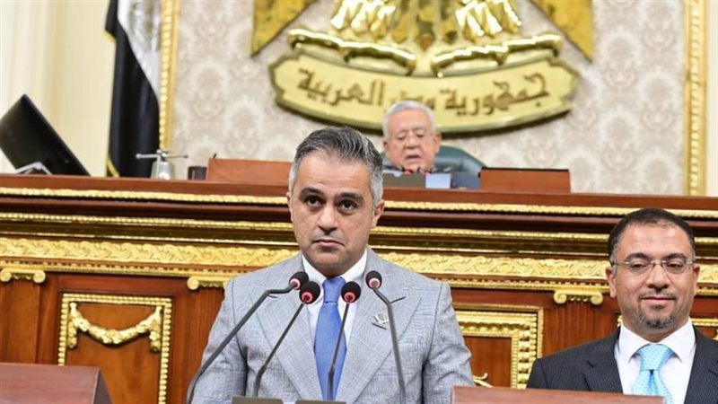 النائب أحمد فتحي