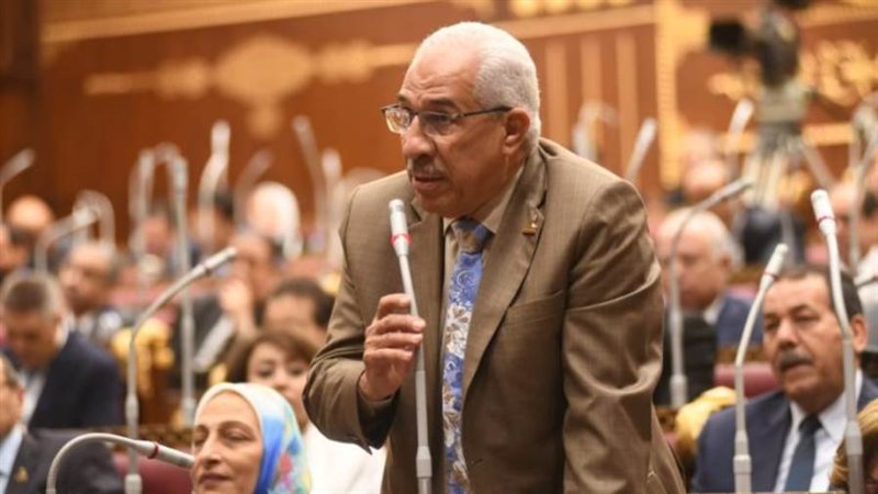 النائب مجدي سليم