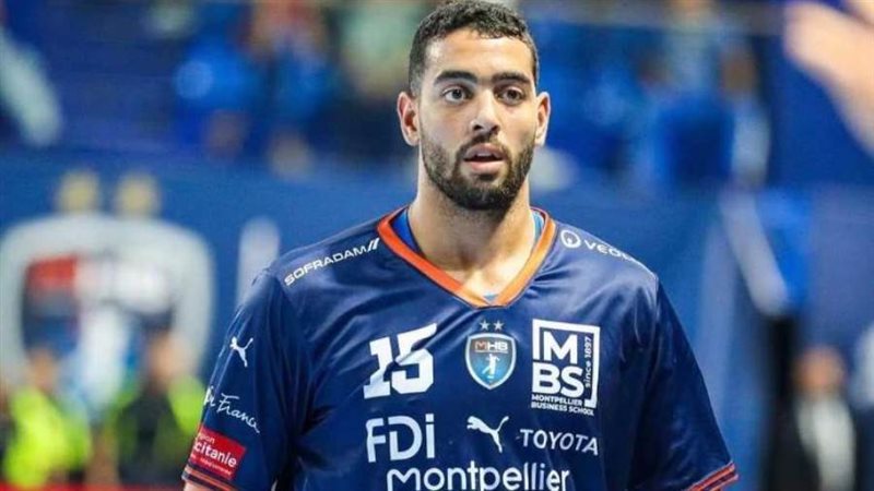 أحمد هشام دودو