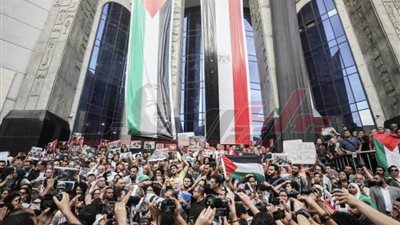 عاجل..نقابة الصحفيين تنظم وقفة احتجاجية تنديدا بجرائم الاحتلال الإسرائيلي بغزة