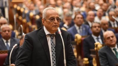 وكيل الشيوخ: نؤيد الرئيس السيسي في اتخاذ أي إجراءات للمحافظة على أمن الأراضي المصرية والحقوق الفلسطينية