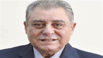 سفير مصر السابق لدى إسرائيل: الرئيس السيسي لم يدخر وسعًا في التواصل مع قيادات العالم من أجل فلسطين