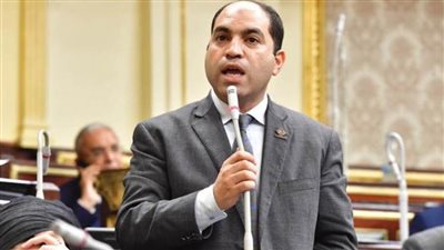 عضو تنسيقية شباب الأحزاب يعلن تفويض الرئيس السيسي لحماية أمن مصر القومي 