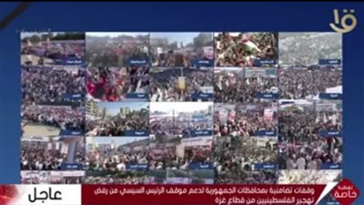  المصريون يحتشدون بالميادين تفويضًا للرئيس السيسي وتنديدًا بالعدوان الإسرائيلي