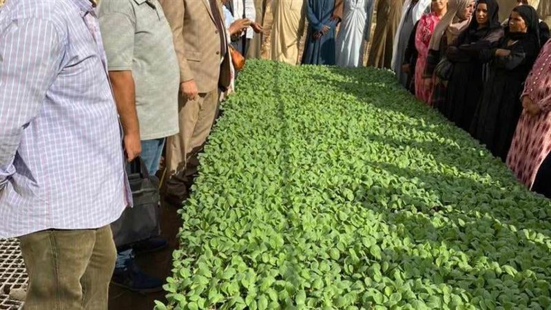 مشروع تحسين الزراعة