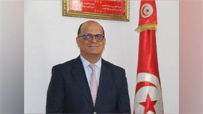 سفير تونس بالقاهرة يؤكد أهمية دخول المساعدات الإنسانية إلى قطاع غزة في أسرع وقت