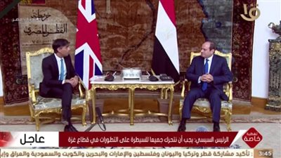 الرئيس السيسي لرئيس وزراء بريطانيا: نؤكد رفضنا تهجير الفلسطينيين وحقهم في دولة مستقلة عاصمتها القدس على حدود 4 يونيو 1967