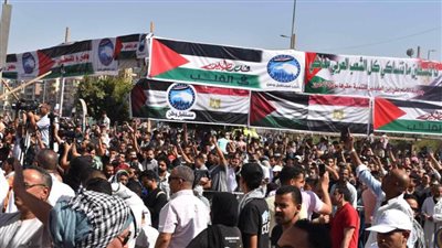 ملايين المصريين في الميادين يفوضون الرئيس السيسي لاتخاذ إجراءات حماية الأمن القومي المصري ودعم القضية الفلسطينية 