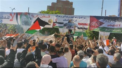 عاجل.. شباب الإسماعيلية يشعلون النار في العلم الإسرائيلي