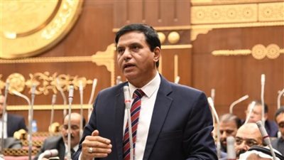 وكيل دفاع الشيوخ: كلمة الرئيس السيسي في قمة القاهرة للسلام خطوات لتحقيق السلام العادل والشامل