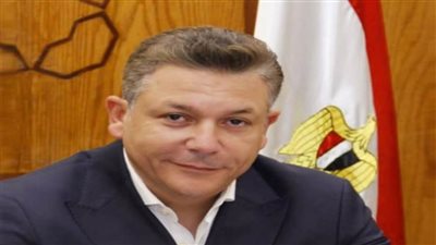 سكرتير عام حزب الغد: عبور مساعدات الإغاثة لأهالي غزة تتويج للجهود المصرية