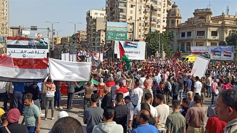 مظاهرات الدقهلية