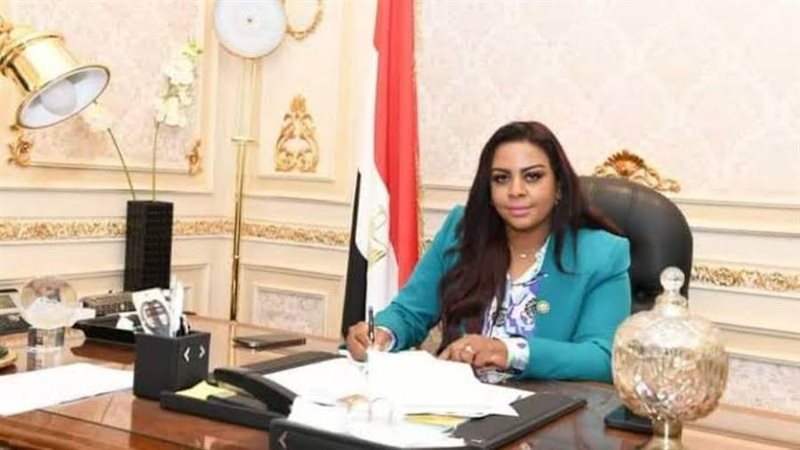 النائبة نفين حمدي