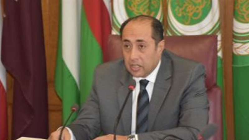 السفير حسام زكي الأمين