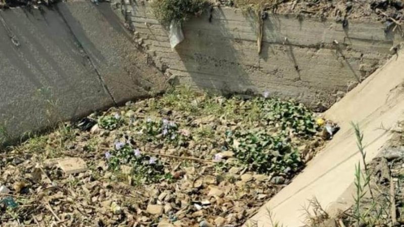 مخلفات الترع