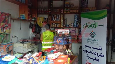 مشاريع تنموية دعمًا للأسر الأولى بالرعاية في كفر الشيخ