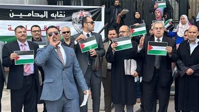 محامو الدقهلية ينظمون وقفة احتجاجية لدعم الشعب الفلسطيني