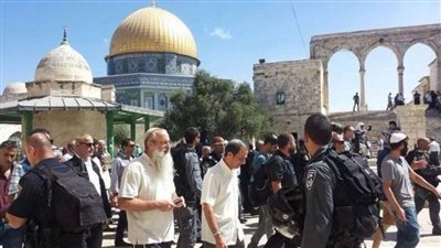 عاجل..الاحتلال الإسرائيلي يعتقل 46 فلسطينيًا من الضفة الغربية ومُستوطنون يقتحمون الأقصى