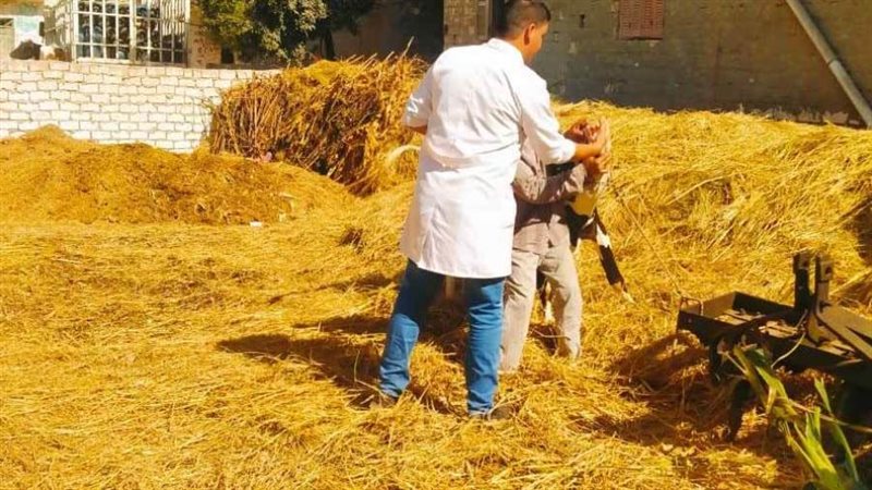 تحصين وعلاج 98 ألف