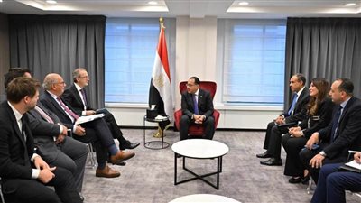  رئيس الوزراء يلتقي الرئيس التنفيذي لـ