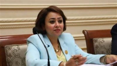 أمين سر «تضامن الشيوخ» تشيد بحديث السيسي: اتسم بالحكمة والرشد في التعامل مع التحديات