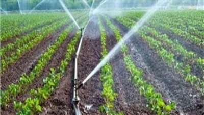 زراعة الإسماعيلية.. واستكمال خطة المديرية نحو ترشيد استهلاك المياه