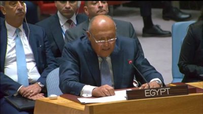 عاجل.. مصر تطالب بالوقف الفوري لإطلاق النار في غزة ووقف الممارسات الهادفة للتهجير القسري للفلسطينيين