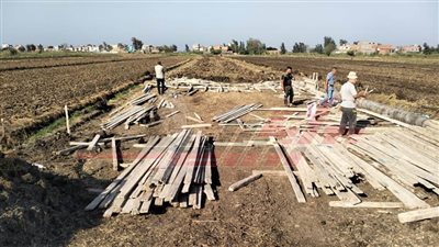 كفر الشيخ تزيل حالات التعدي على الأراضي الزراعية