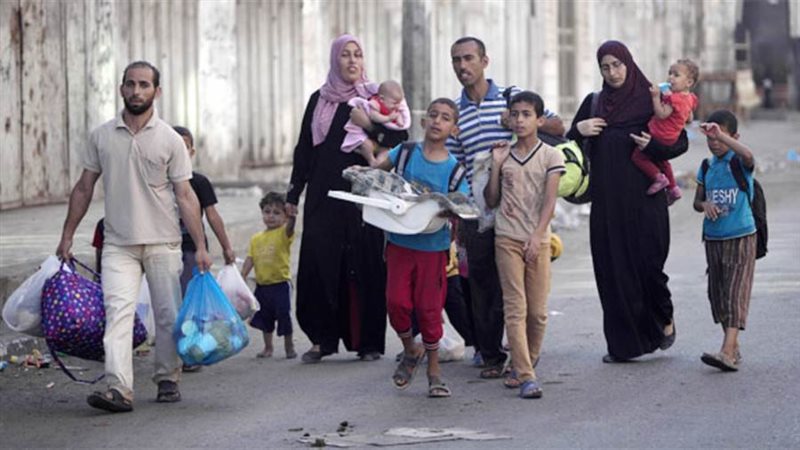 بوابة روز اليوسف