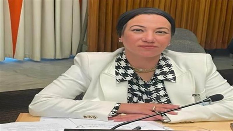 الدكتورة ياسمين فؤاد